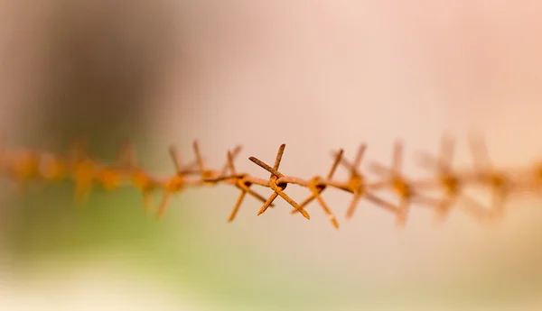 Naturaleza — Foto de Stock