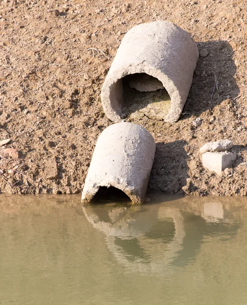 Naturaleza — Foto de Stock