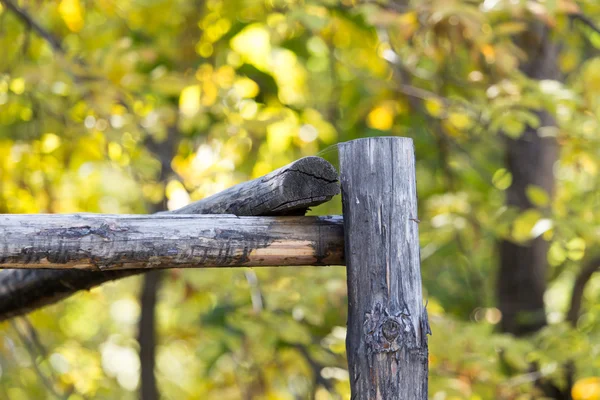 Nature — Stock Photo, Image