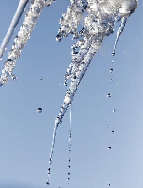 Natuur — Stockfoto