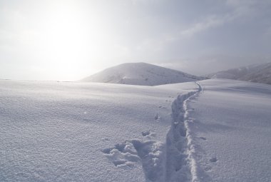 Doğa