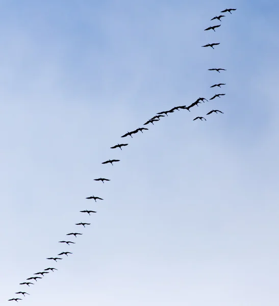 Naturaleza — Foto de Stock