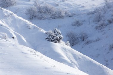 Tien Shan dağlarının karlı yamaçları
