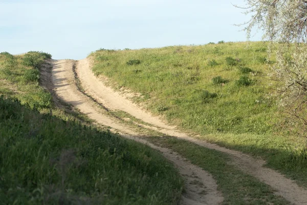 Camino en un campo — Foto de Stock