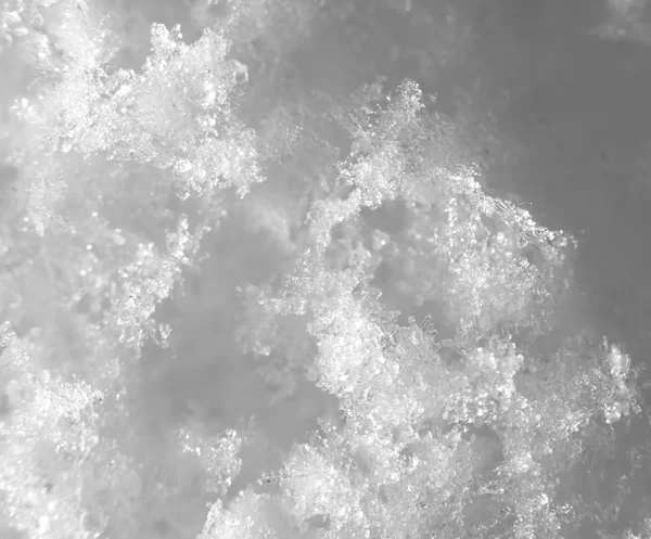 Снежинки. супер макрос — стоковое фото