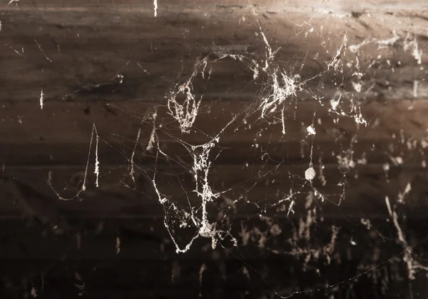 Bodrum katında örümcek ağları — Stok fotoğraf