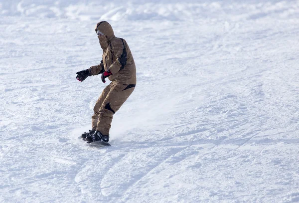 Les skieurs dans la neige — Photo