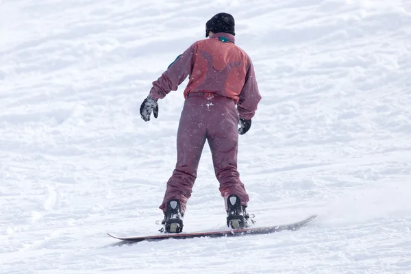 People skiing in the snow — Stock Photo, Image