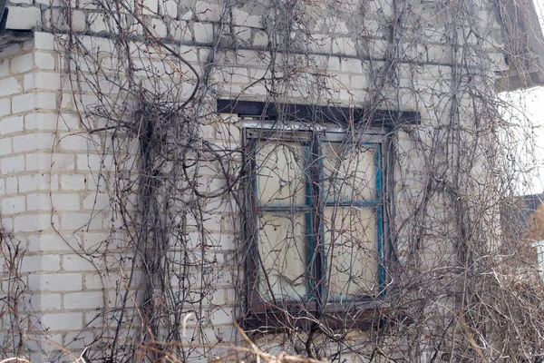 Old overgrown house in the country — Stock Photo, Image