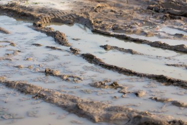 çamurlu su toprak yol üzerinde