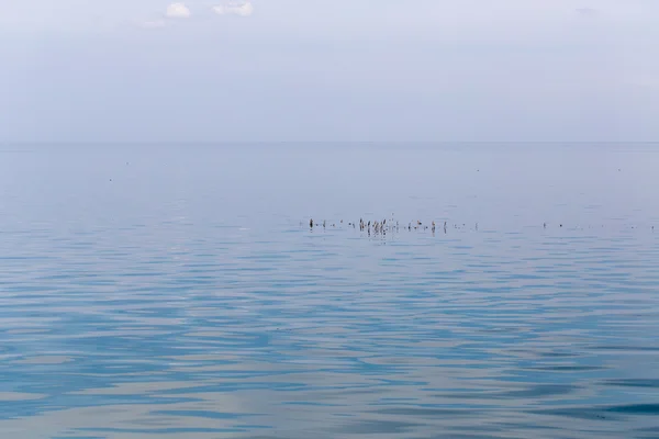 Achtergrond van het oppervlak van het water — Stockfoto