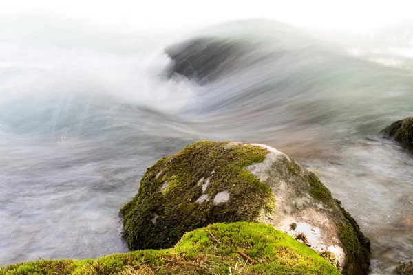 Naturaleza — Foto de Stock