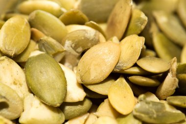 Kabak Çekirdeği bir arka plan olarak. Kapat