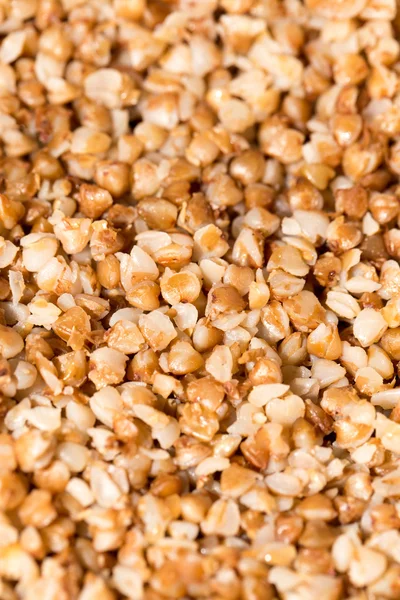 Buckwheat groats as background. close — Stock Photo, Image