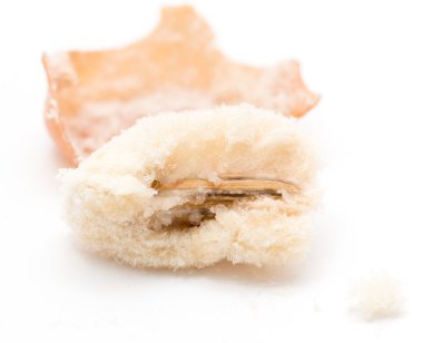 Beyaz bir arka plan üzerinde Eleagnus