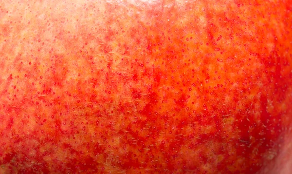 Pomegranate as a background. super macro — Stock Photo, Image