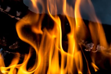 Doğa bir arka plan olarak