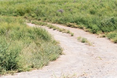 Doğa bir arka plan olarak