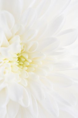 güzel doğa. arka plan