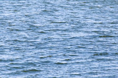 güzel doğa. arka plan