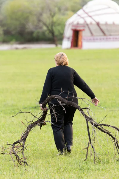 Nature as a background — Stock Photo, Image