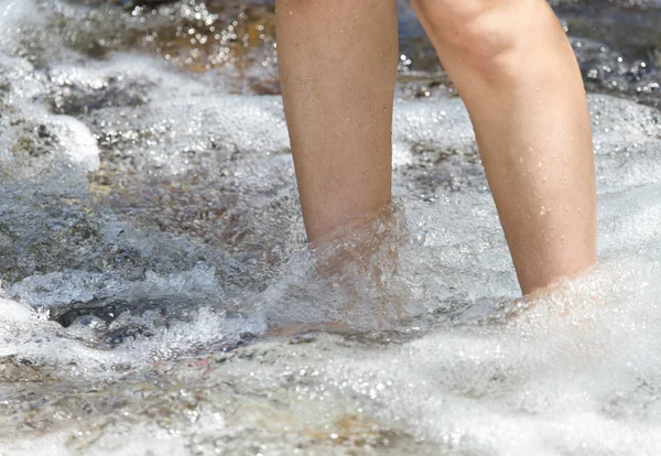 Natuur als achtergrond — Stockfoto