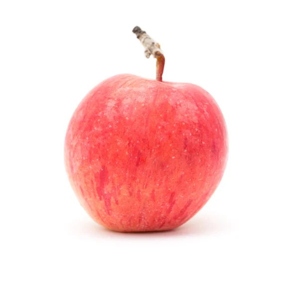 Pečená lahodná jablka — Stock fotografie