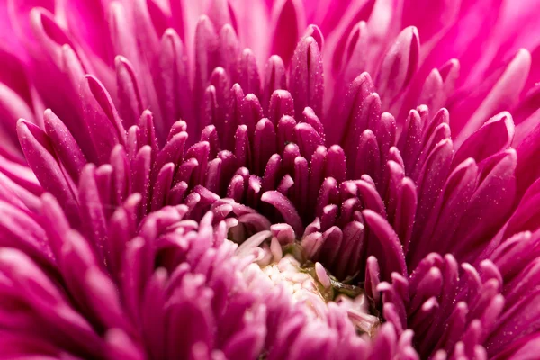 Hermosa naturaleza. antecedentes — Foto de Stock