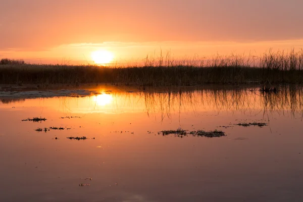 Vacker natur. bakgrund — Stockfoto