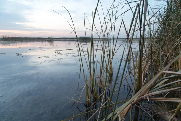 Bela natureza. contexto — Fotografia de Stock