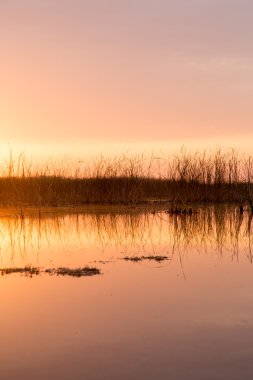 güzel doğa. arka plan