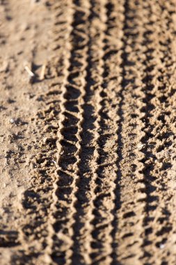 güzel doğa. arka plan