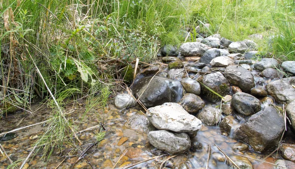 Prachtige natuur. achtergrond — Stockfoto