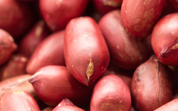 Gustoso cibo sano — Foto Stock