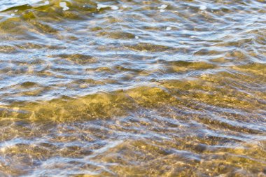 güzel doğa. arka plan