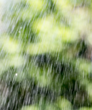 güzel doğa. arka plan