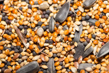 lezzetli sağlıklı gıda