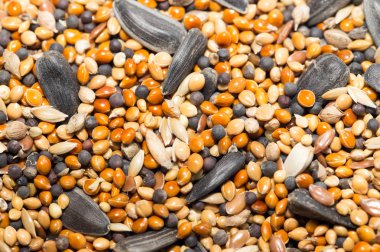 lezzetli sağlıklı gıda