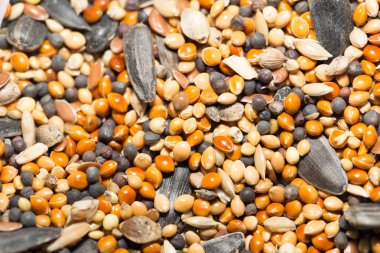 lezzetli sağlıklı gıda