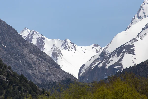 Schöne Natur. Hintergrund — Stockfoto