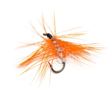 Beyaz arka plan üzerinde için balıkçılık fly