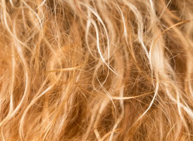 bir erkekte Güzellik Salonu