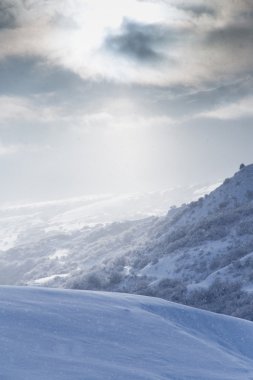 Güzel doğa arkaplanı