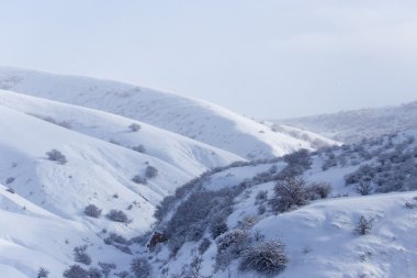 Güzel doğa arkaplanı