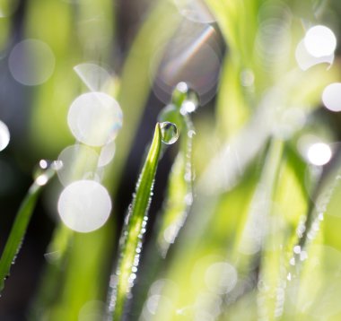 Güzel doğa arkaplanı