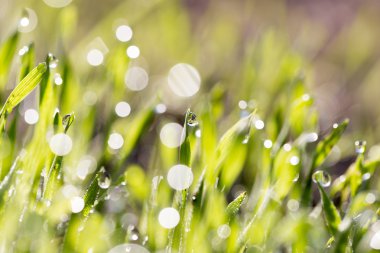 Güzel doğa arkaplanı