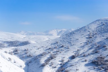 Güzel doğa arkaplanı
