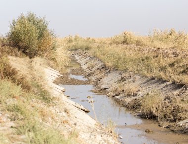 Güzel doğa arkaplanı