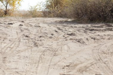 Güzel doğa arkaplanı