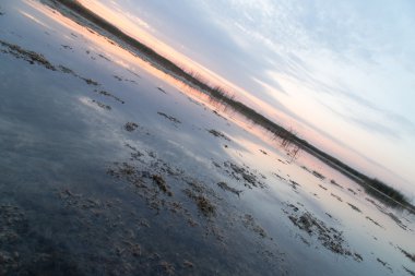 Güzel doğa arkaplanı